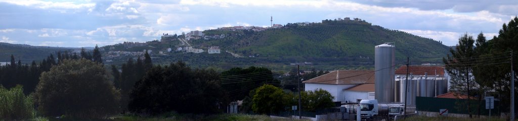 VISTA SOBRE ABRANTES A PARTIR DO PEGO by Pedro Martinho