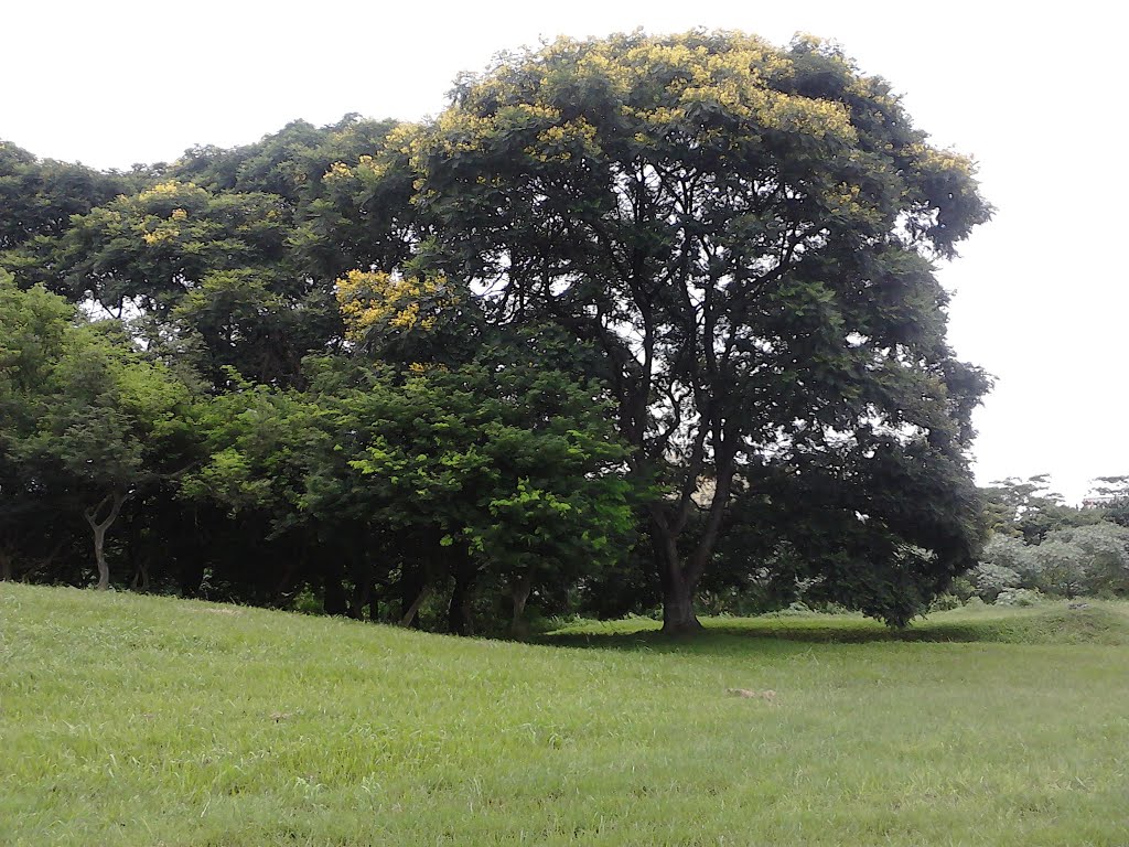 Rodovia Hélio Smidt - Taboão, Guarulhos by jair ssantos