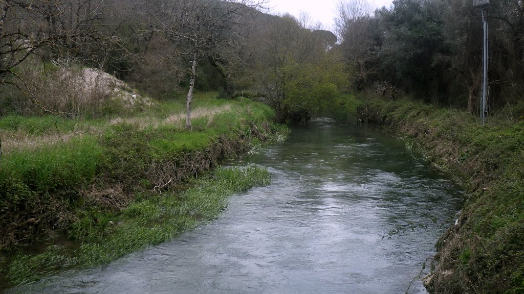 Rio Nabão by Norberto