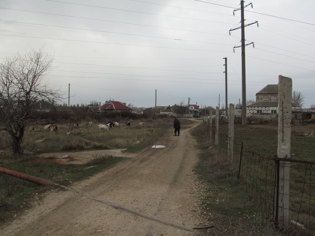 Дід і кози * old man with goats by i.bulyha