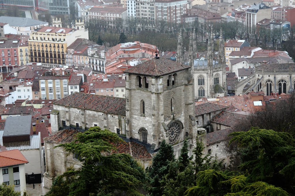 Vista desde el Castillo de Burgos by F. Campayo -  VIEWS, NO THANKS