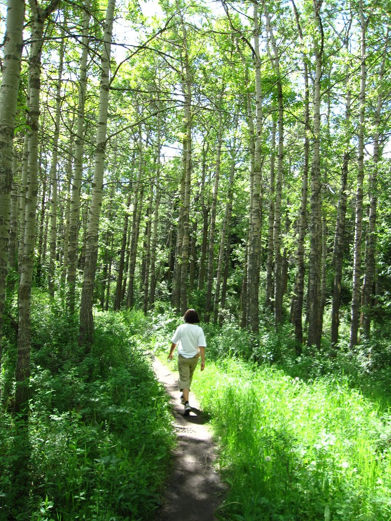 12 Mile Coulee Hiking by andrzejcalgary