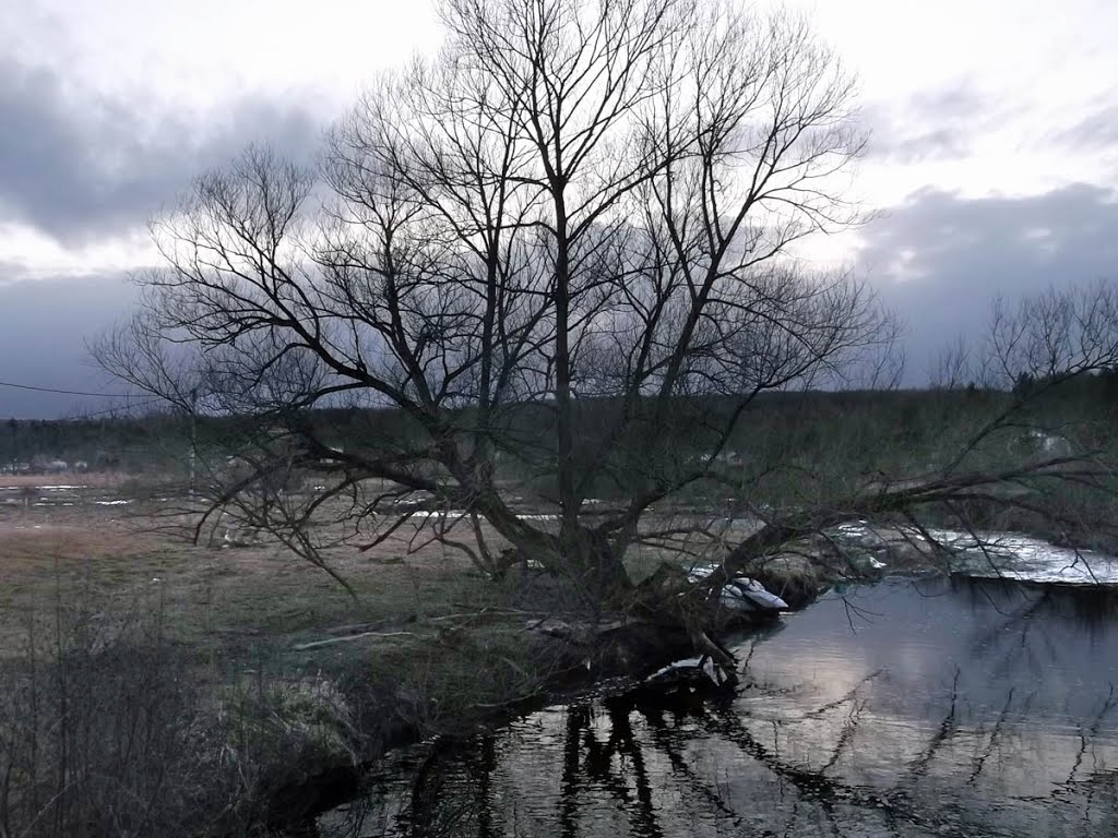 Ascot river by Mario Hains