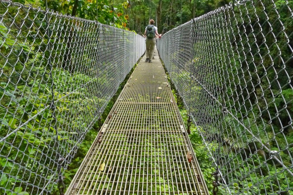 Hanging Bridge by Siegfried Epp