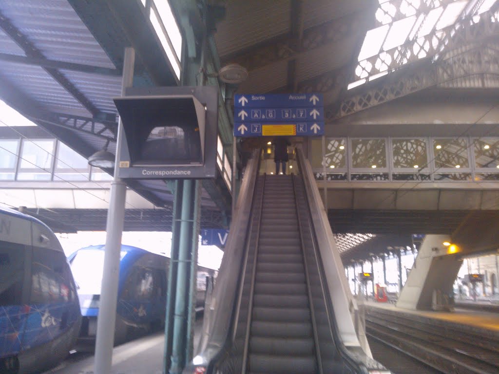 Gare sncf lyon perrache lyon by Salomon BARZILAI & Jerome IBY