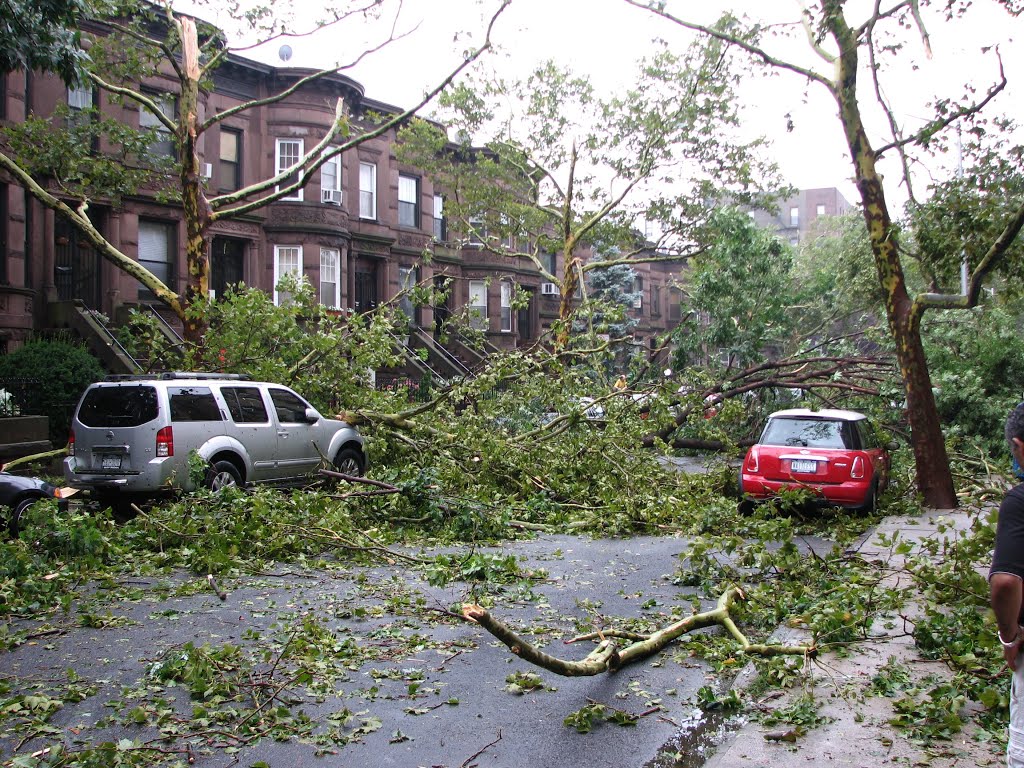 Bay Ridge Tornado (4) by Marek Krzyśków