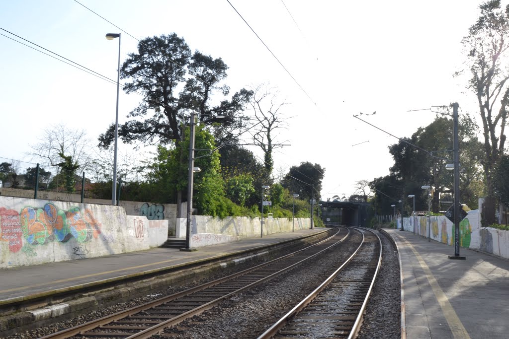 Estação de Comboios de Coimbrões, Vila Nova de Gaia - Portugal by Parruco