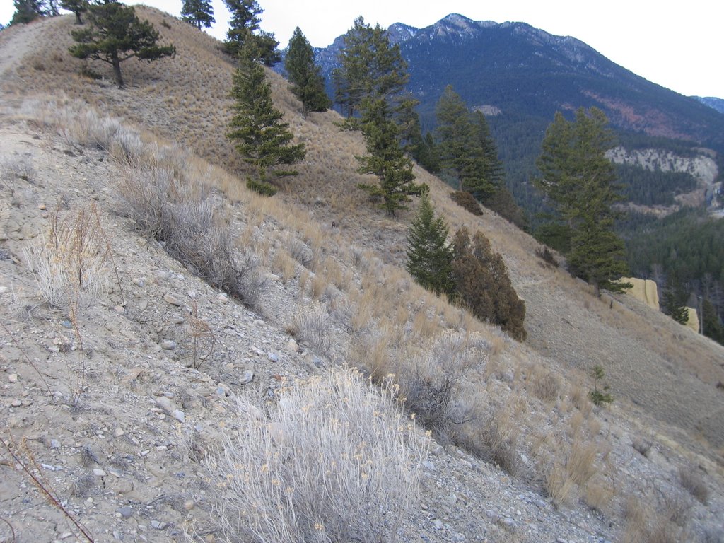 Dry Slopes And Sage Brush - A Scramble Up Lower Sinclair Canyon Near Radium BC by David Cure-Hryciuk