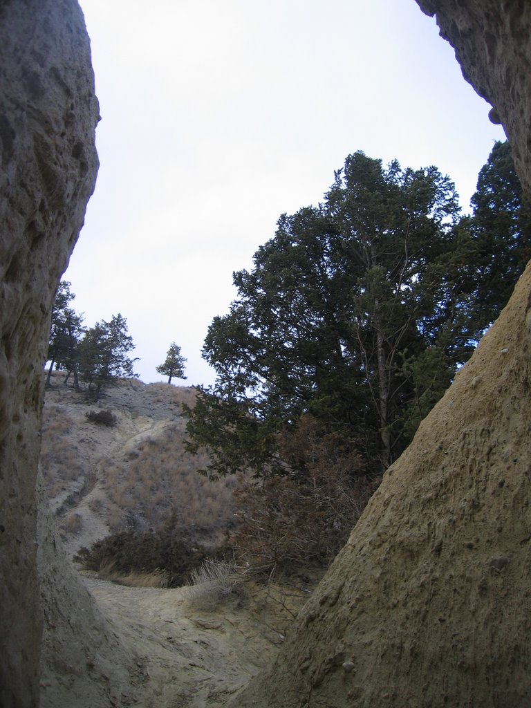 Looking Through A Gap in the Hoodoos in the Badlands of Sinclair Canyon Near Radium BC by David Cure-Hryciuk