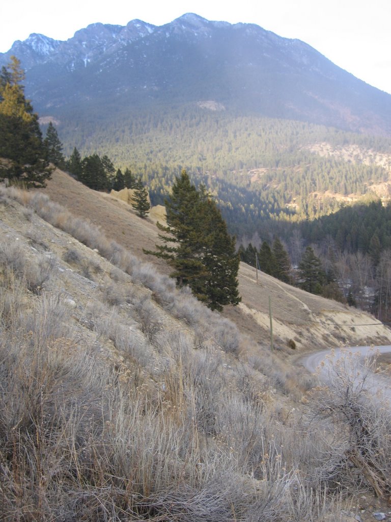 Sage Scrub Foreground And Mountains At Sinclair Canyon Near Radium BC by David Cure-Hryciuk