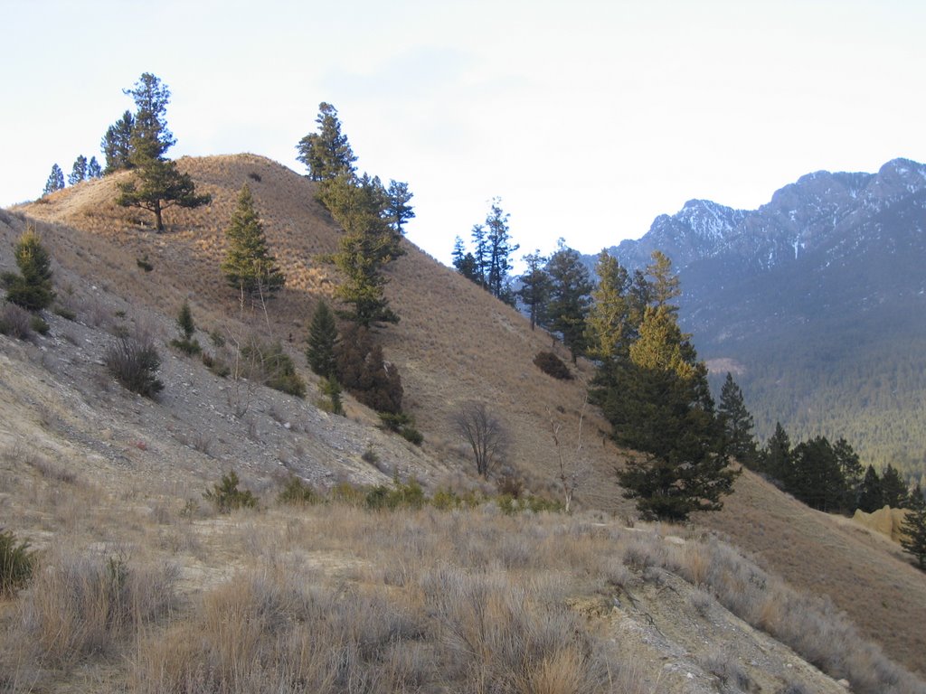 Semi-Arid Slopes And the Rockies in the Background - Diversity in BC Near Radium Hot Springs by David Cure-Hryciuk