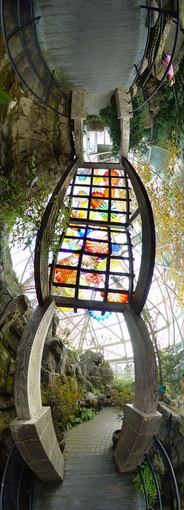 Franklin Park Chihuly Bridge Panorama - Columbus, OH by packard33