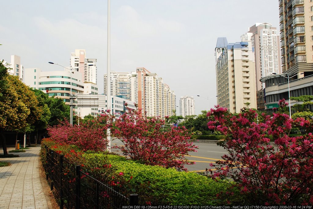 Xiangmi Lake, Futian, Shenzhen, Guangdong, China by NetCar