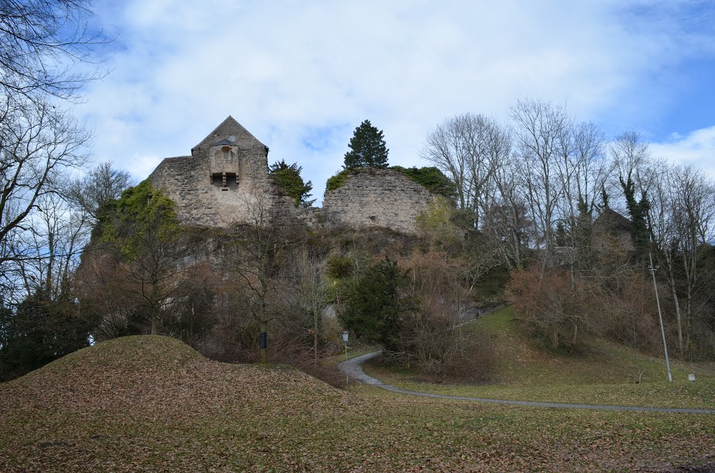 Hohenbregenz Castle by Alexander Prolygin