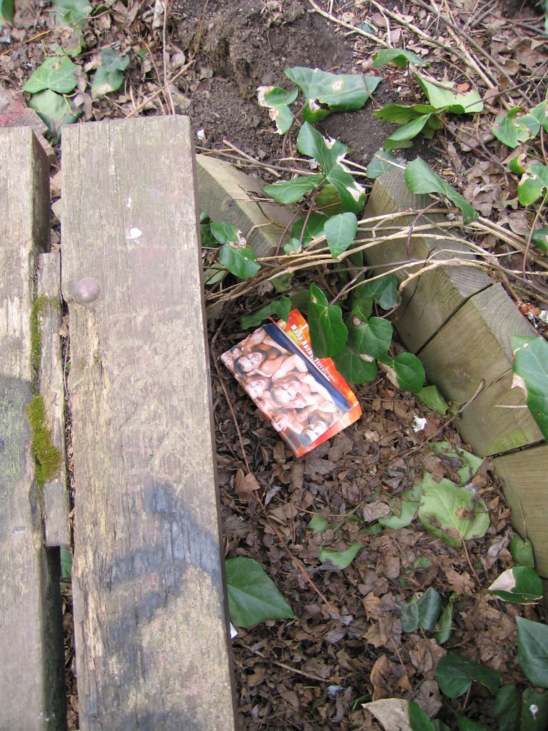 Discarded Homosexual Pornography In The Lost Park by Camilo Mesias