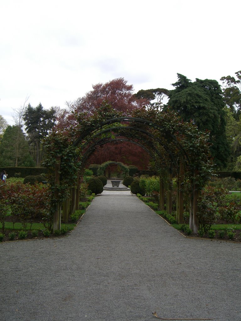 Christchurch Botanic Gardens by Pierpaolo Farina