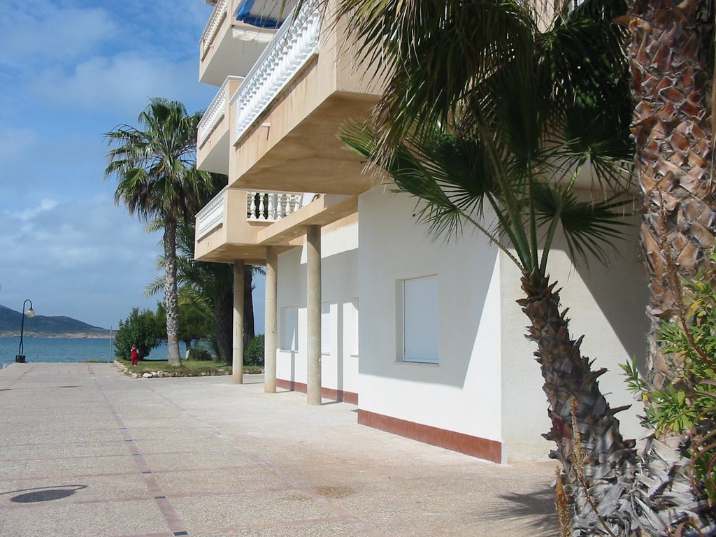 Lofts to rent in la manga by administracion2