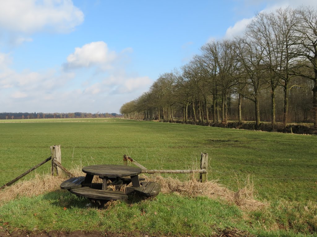 Zicht vanaf een van de terrassen van Eldorado op polder Heetveld en bomen aan de Griftdijk by Piet Guijt