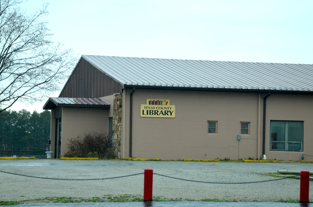 Texas County Library by Buddy Rogers