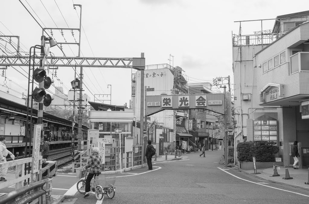 代田橋・栄光会 by Syncopated_Frog