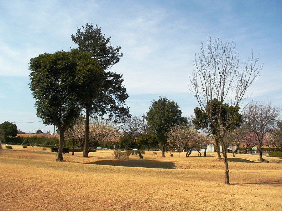 運動公園 by HIroshi Maruyama