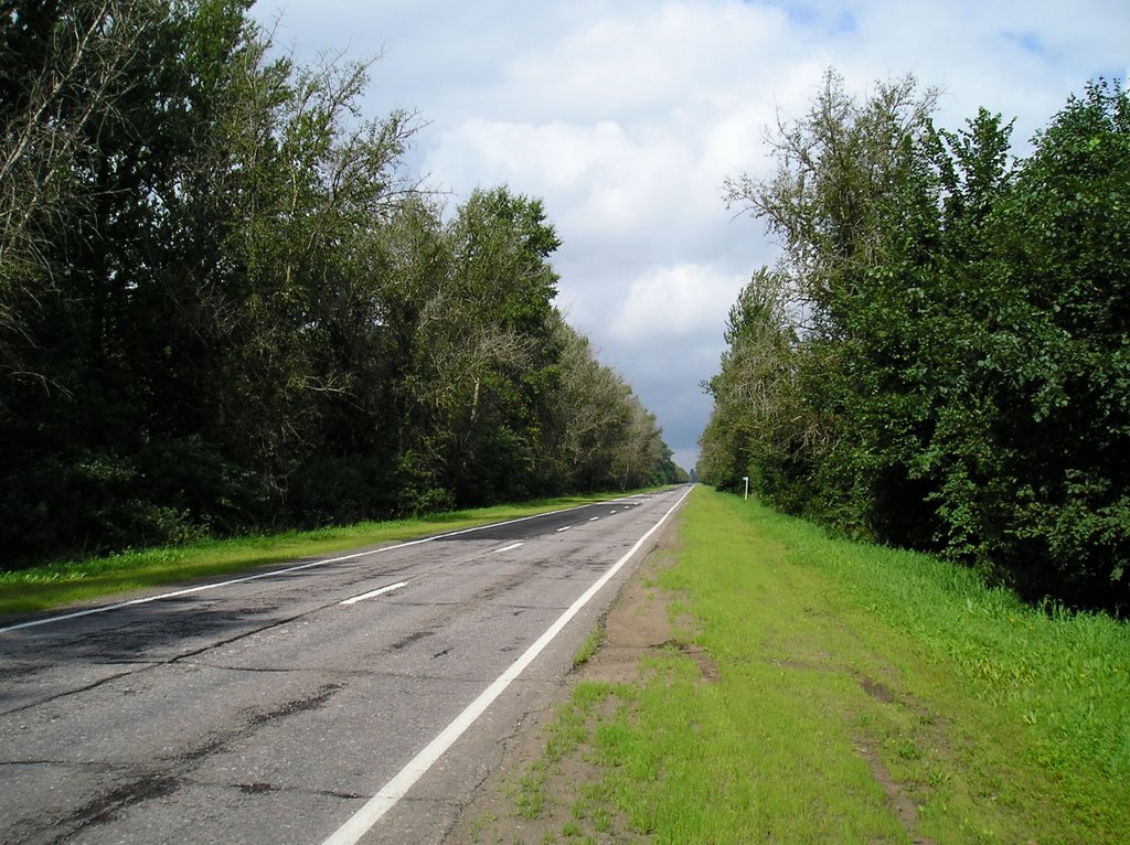 Novgorodsky District, Novgorod Oblast, Russia by Zakharov's