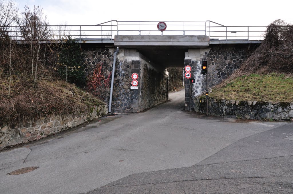 Chemins de fer d'Auvergne. by Tireman.