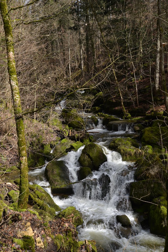 2013-04-10 Gorges de Twann_Twannbachschlucht by Raph B.