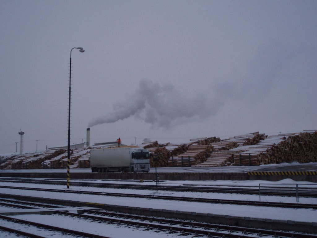 Woodyard in Zdirec nad Doubravou by Michel Sch