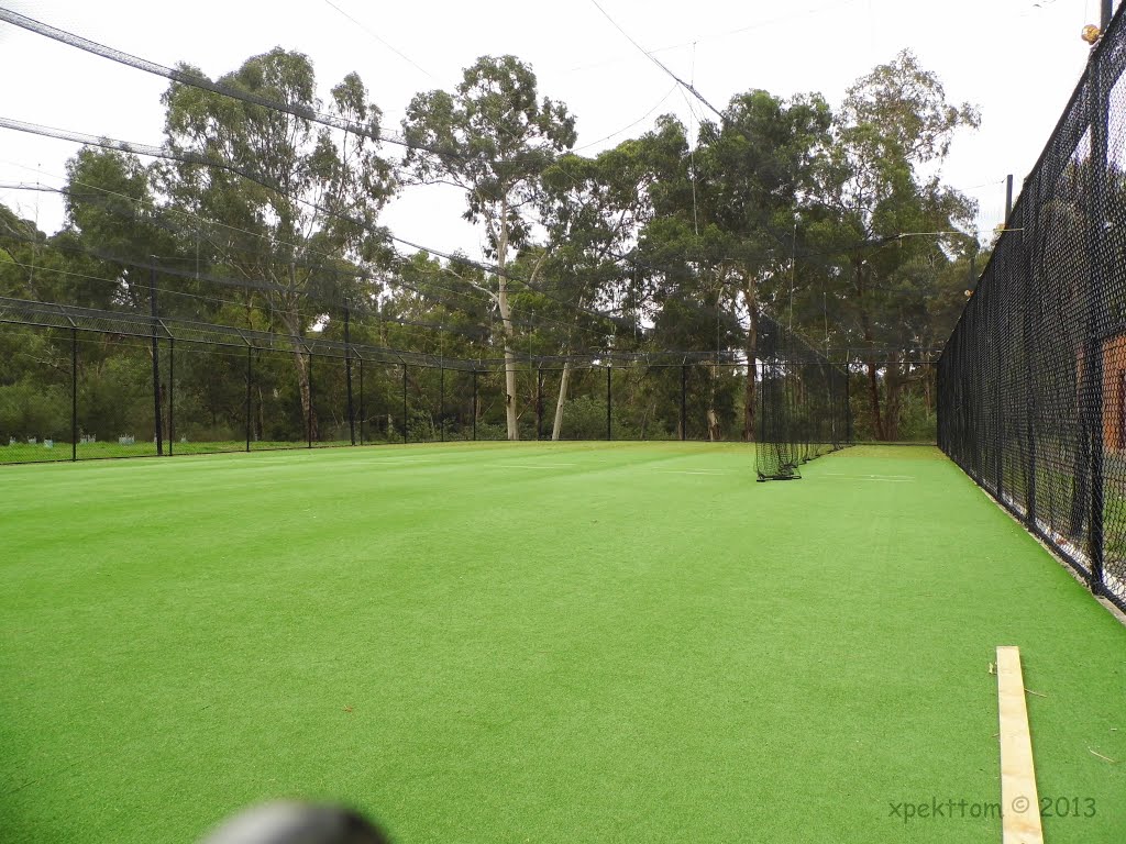 Fully enclosed cricket nets [2013] by XpektTom