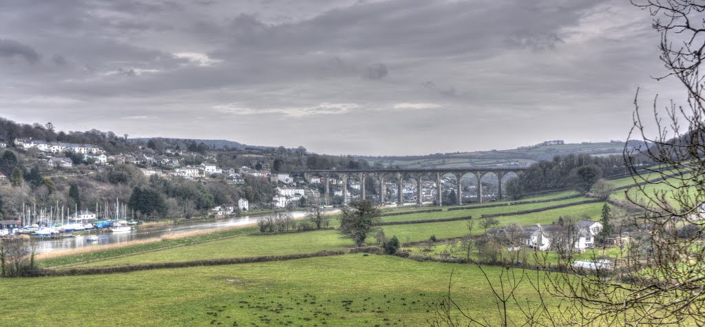 Calstock and its viaduct over the Tamar by Tim Lomas at Gardd Owen Photography