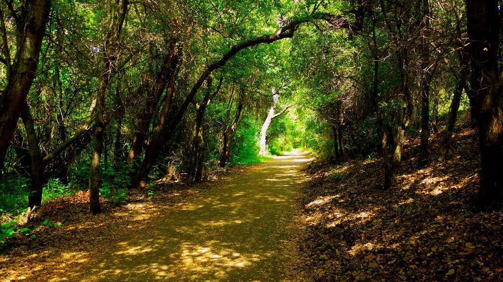 Silver Creek Valley Trail, Upper Trail San Jose 95138 by Dhirubhai1