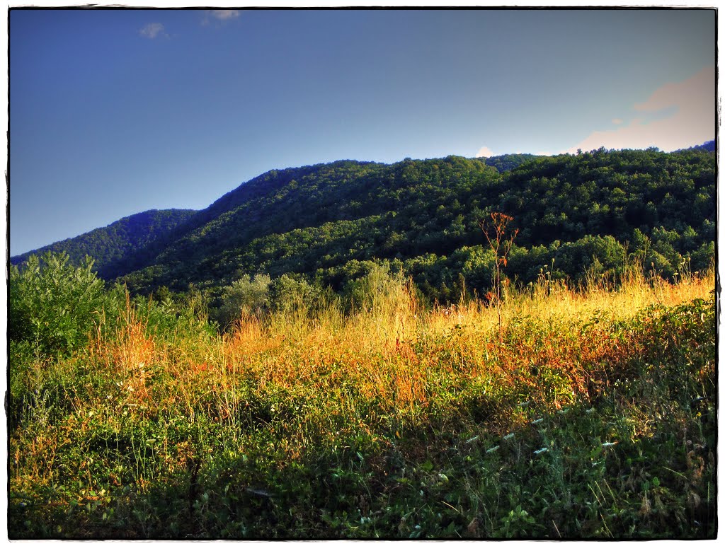 Surroundings of Kapinovo Monastery by zaro1965