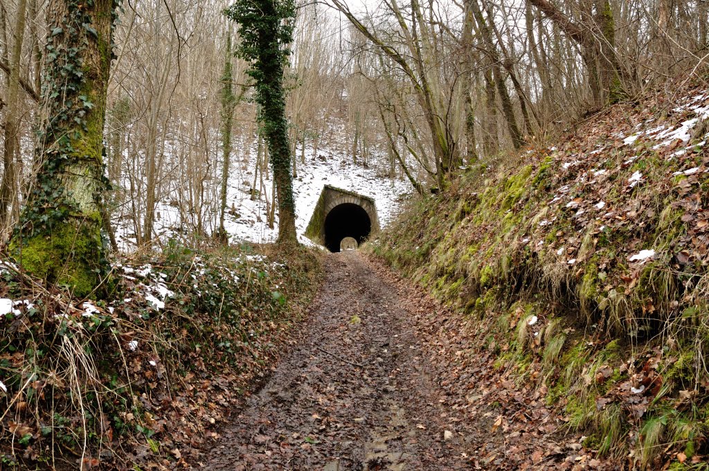 Chemins de fer d'Auvergne. by Tireman.