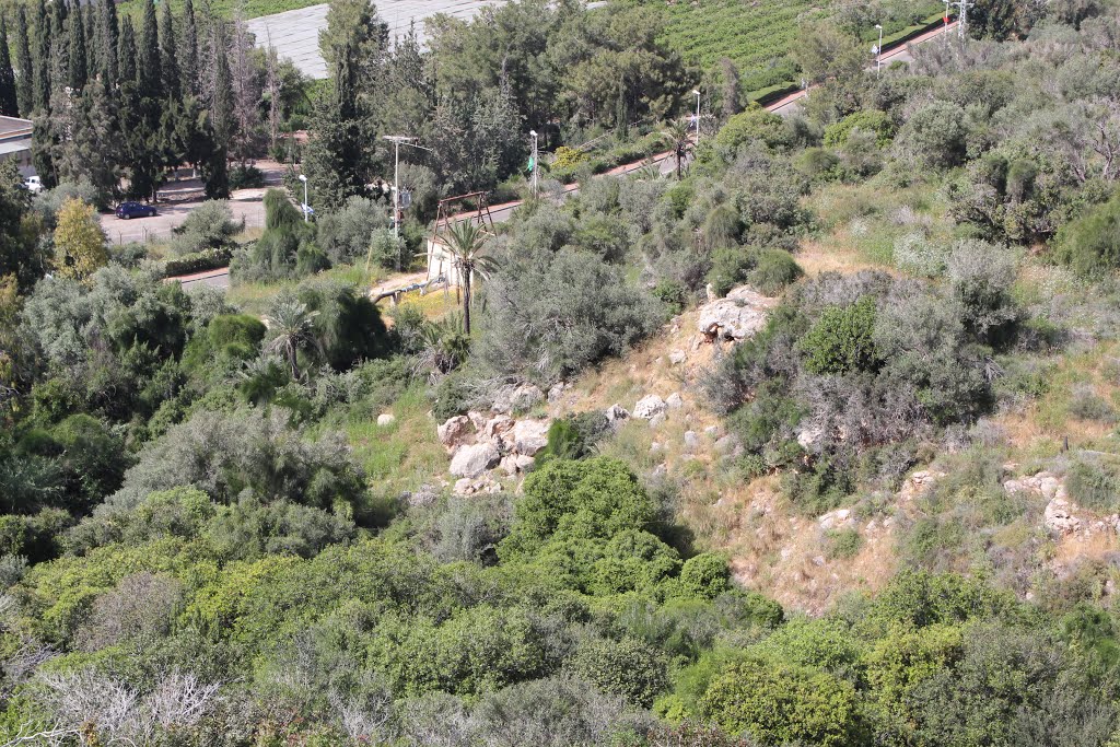 View at Hof HaCarmel from Zihron Yakov heights by Genet