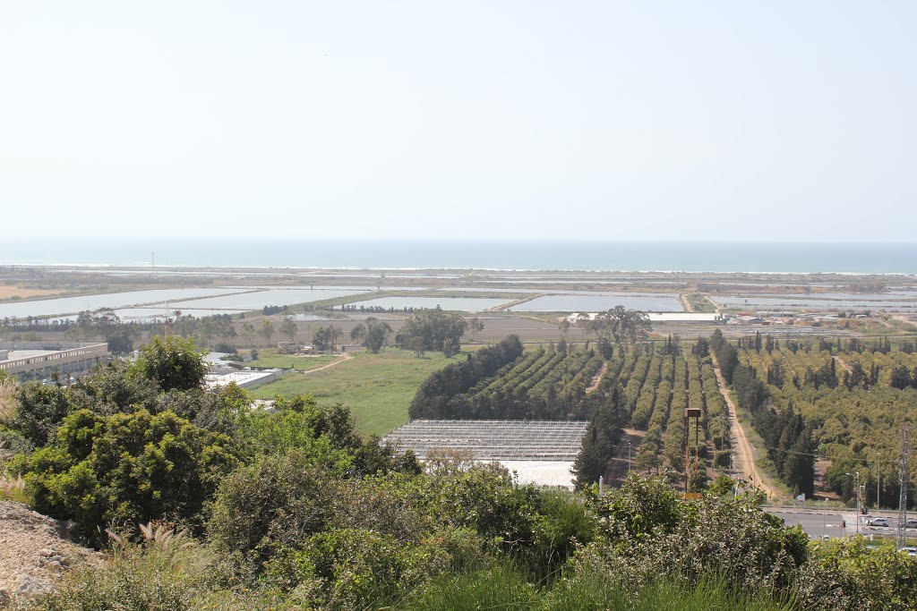 View from hights of Zihron Yakov at Hof HaCarmel by Genet