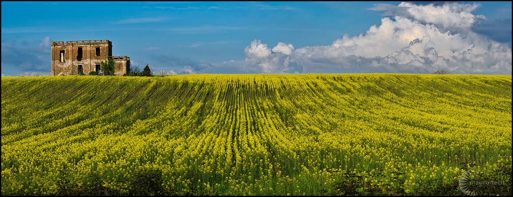 E' primavera,svegliatevi bambine... by Dottor Topy