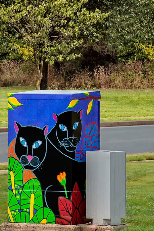 "Two Panthers in the Rain Forest" Traffic Control Box by viviansville