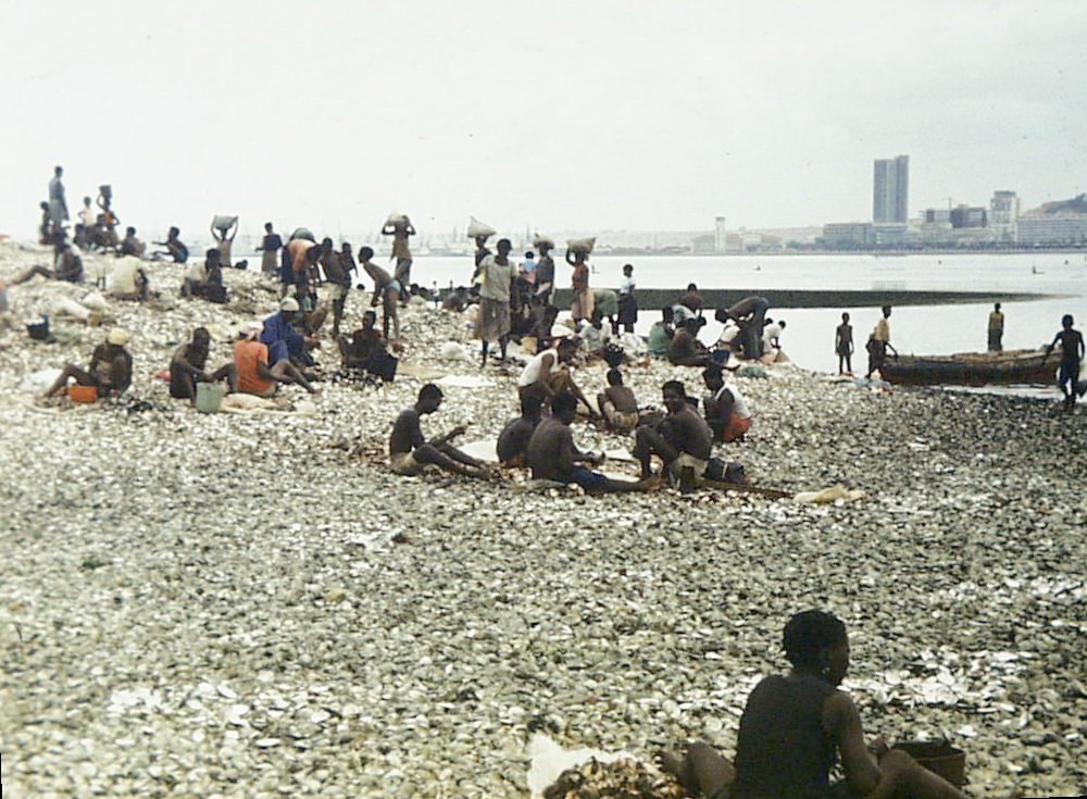 Luanda - Shellfish collection when the tide is out by nicktaylor