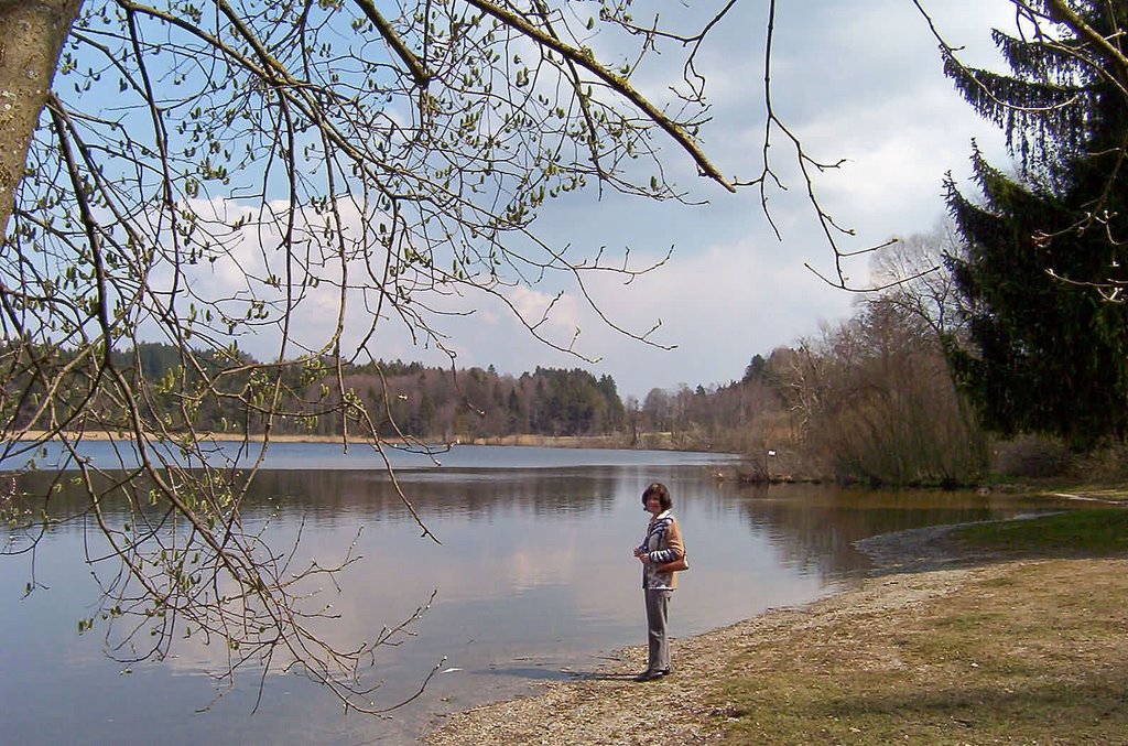 Böbing, Lugenauer See by H.Becker