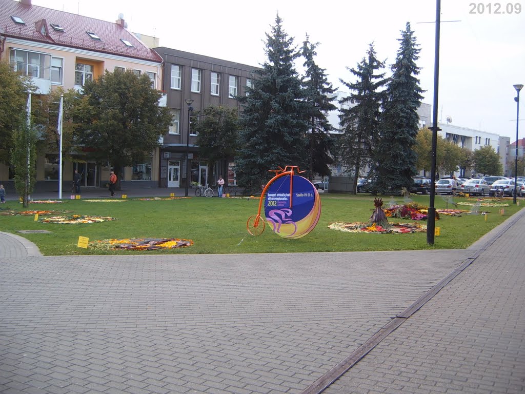 Gėlės ir dviračių čempionato Panevėžyje reklama / Flowers and Promotion of Bicycle Championship in Panevėžys by Irmantas Kanapeckas