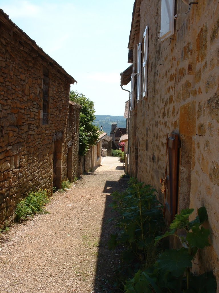 Ruelle à Faycelles by Yann LESELLIER