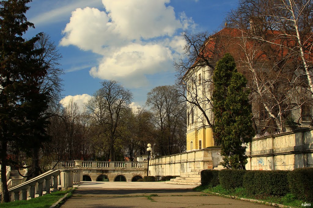 Oradea, palatul baroc by nelu_faur