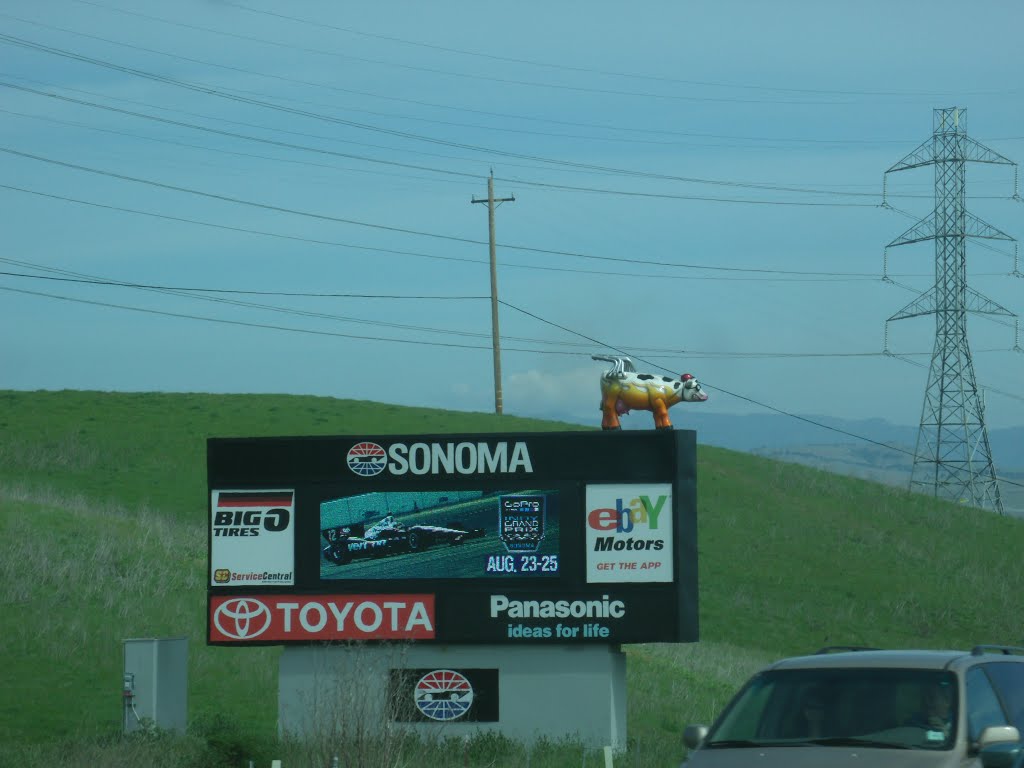 Sonoma Raceway Burnin' Bovine by Noah_Loverbear