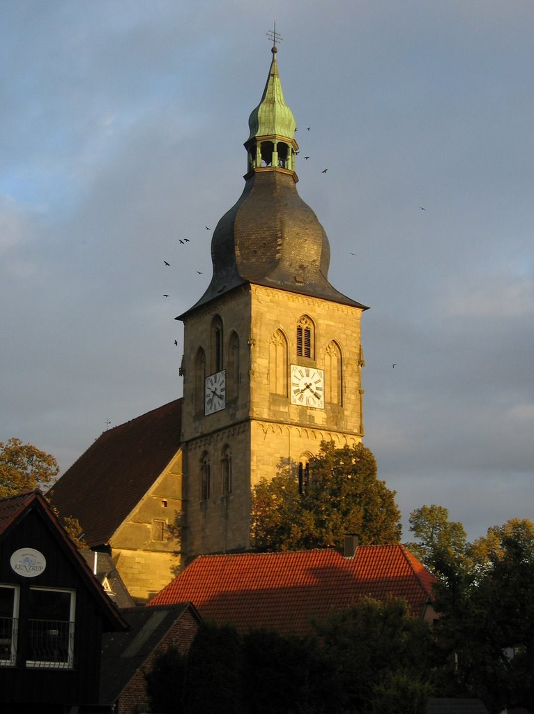 Nottuln, Kirchturm mit Dohlen in der Abendsonne by wthiemann