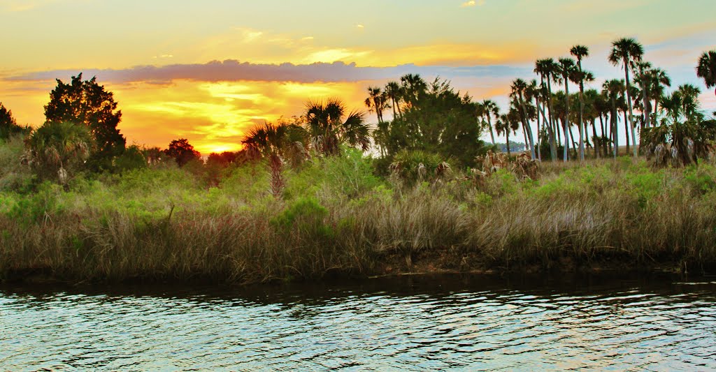 Pine Island Hernando Beach Florida United States by Mariamichelle117