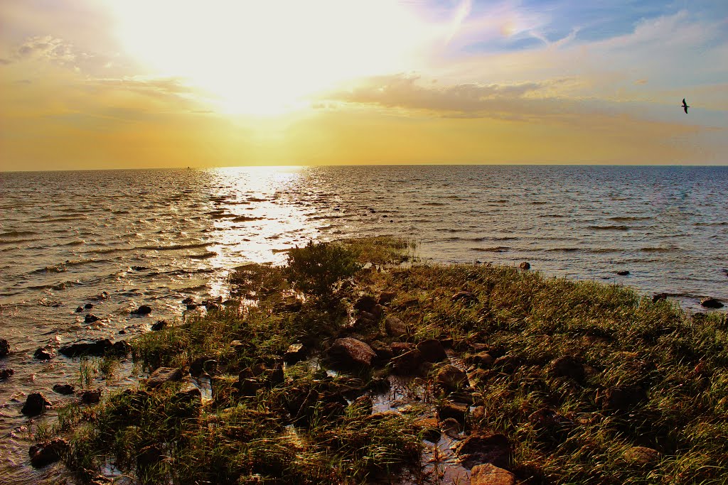 Pine Island Hernando Beach Florida United States by Mariamichelle117