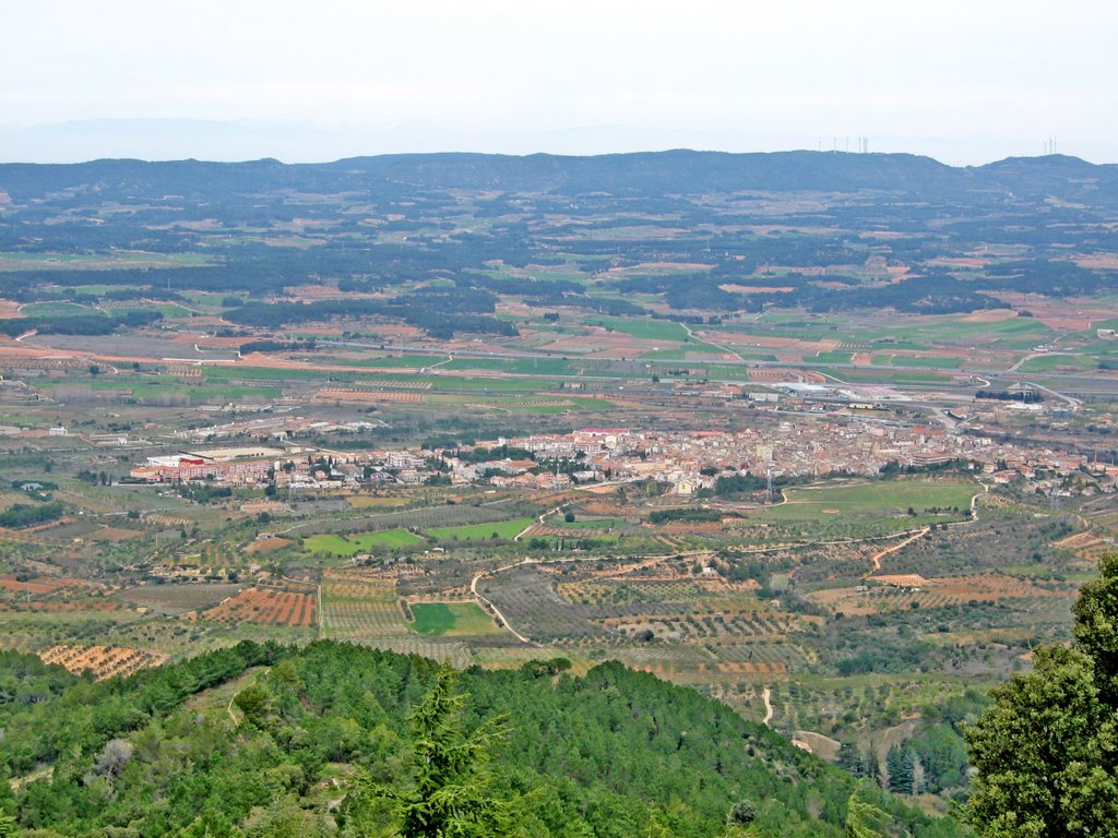 L'espluga de Francolí des de la pujada al tossal de Mata-rucs by joan miquel