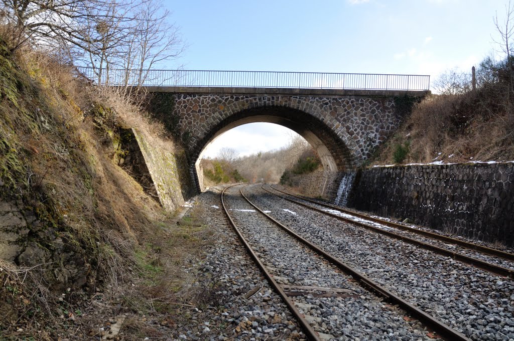 Chemins de fer d'Auvergne. by Tireman.