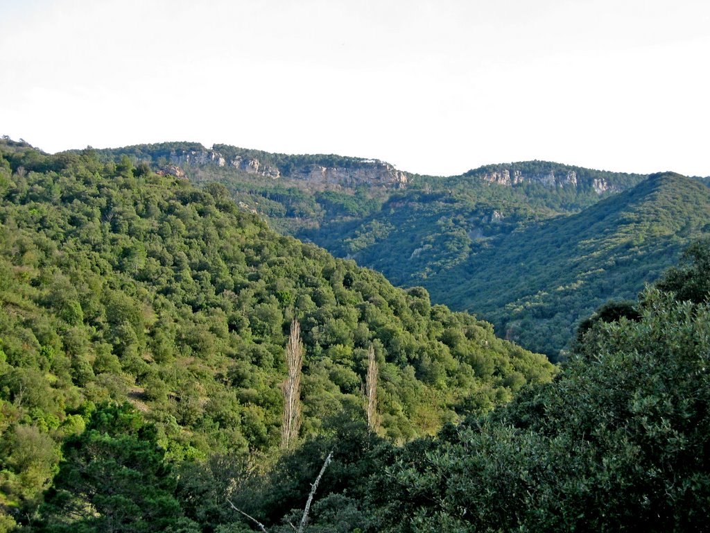 Barranc de la Pena by joan miquel